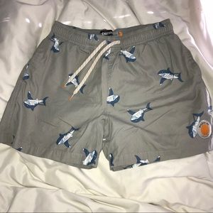 Grey Shark Swim Trunks
